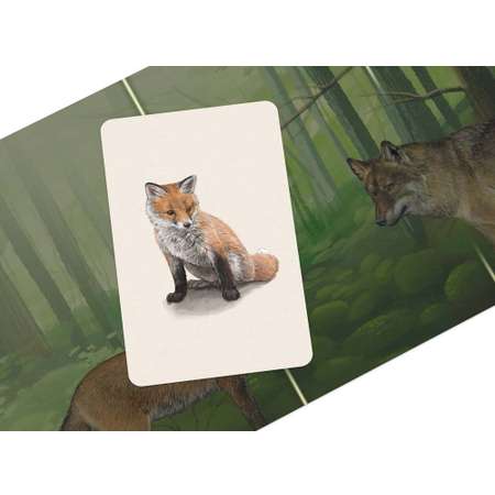 Настольная игра Стиль жизни Смешанный лес