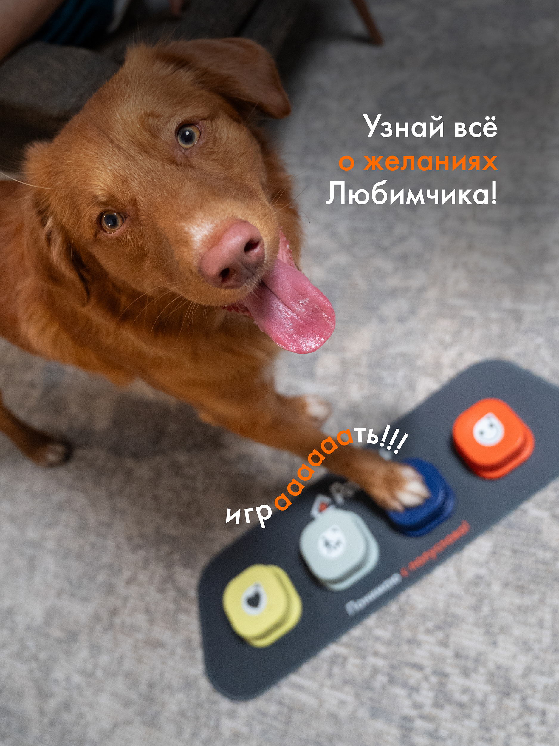 Интерактивная панель Pet Flat Собачья игрушка со звуковыми кнопками - фото 5