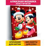 Алмазная мозаика Art on Canvas Микки и Мини в ассортименте