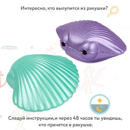 Набор для выращивания Attivio Яйцо растущее Ракушка в ассортименте