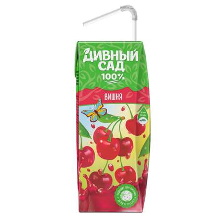 Нектар Дивный сад вишневый 0.2л