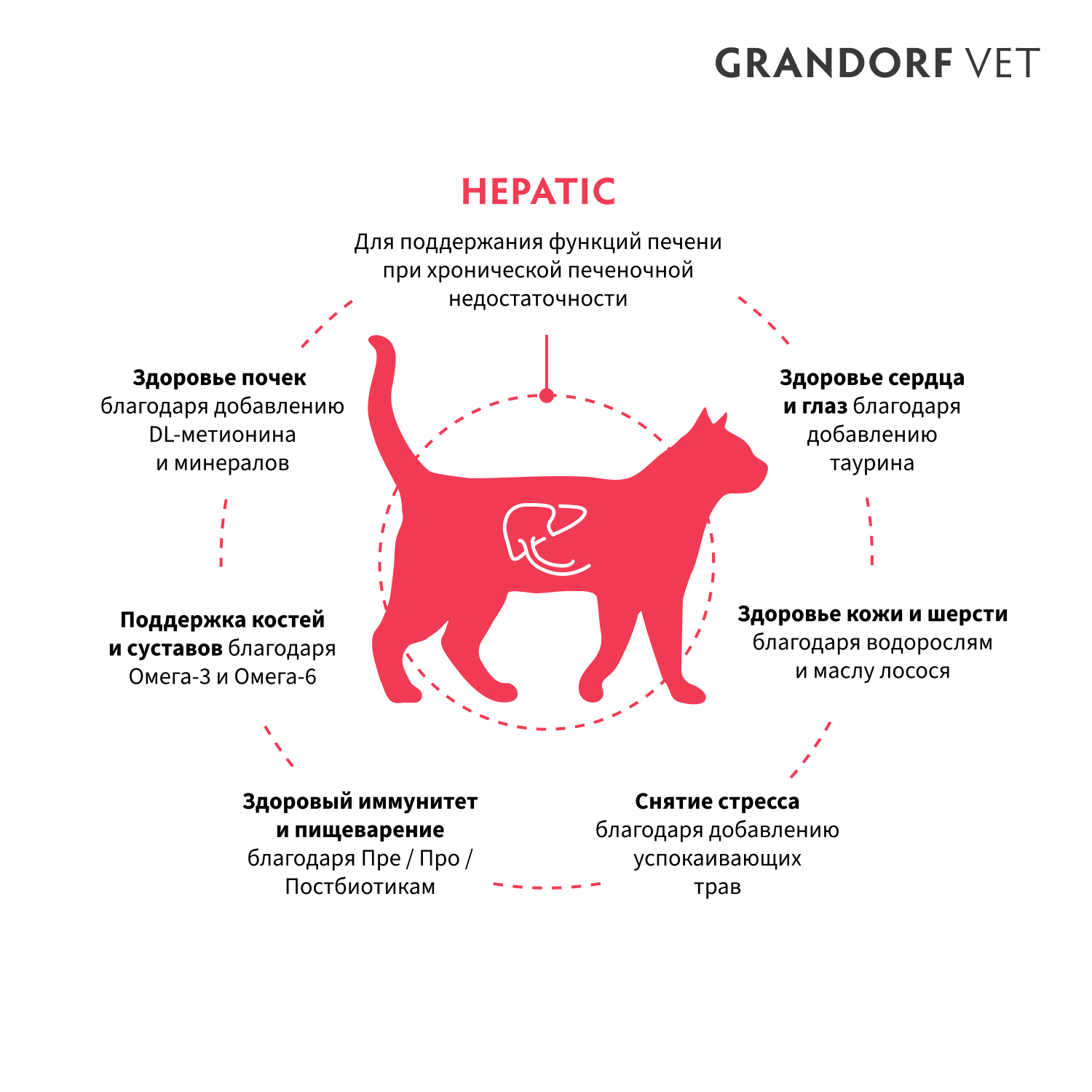Корм для кошек GRANDORF VETERINARY для поддержания функции печени при ХПН 400г - фото 2