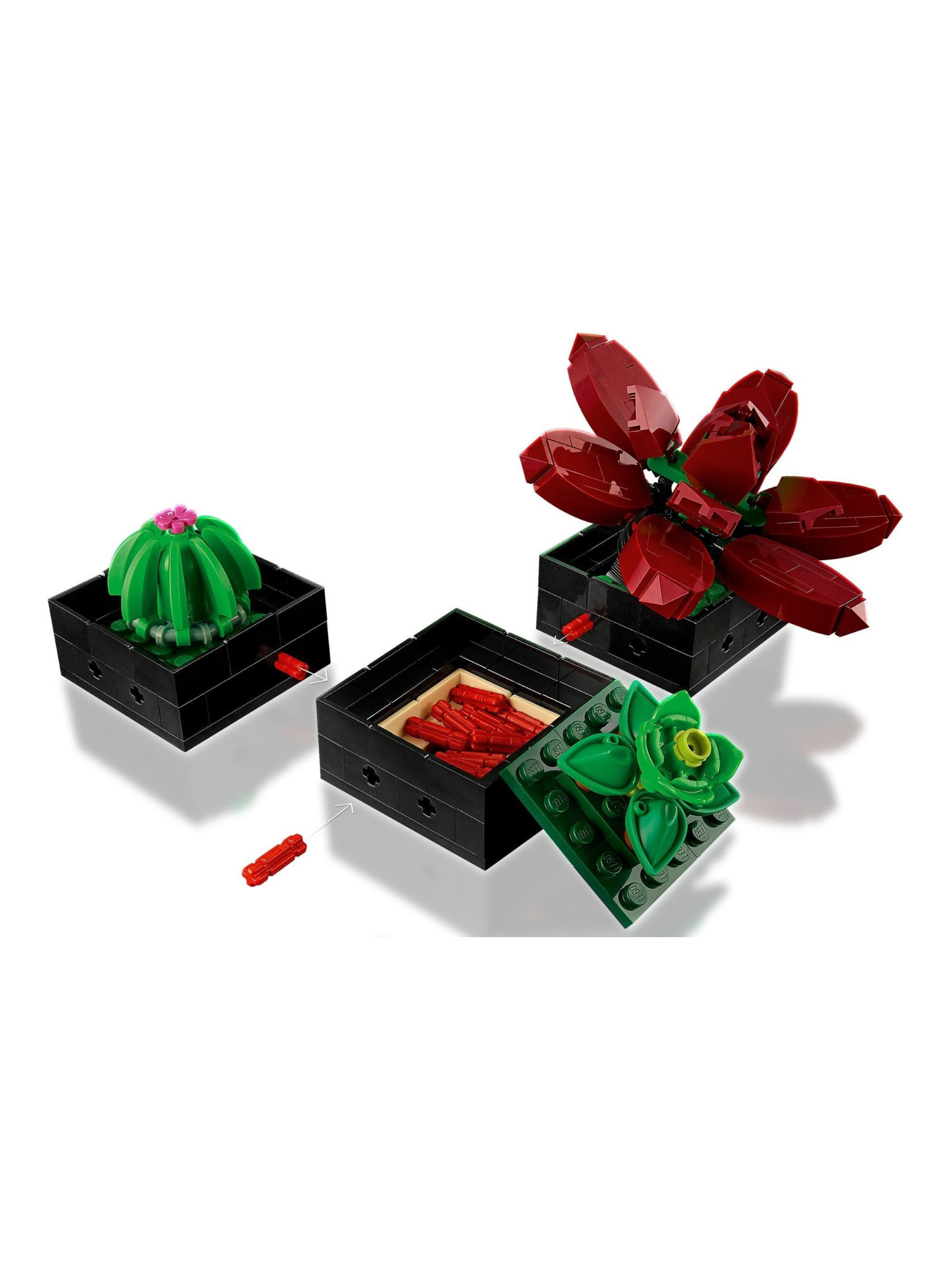 Конструктор LEGO Icons Суккуленты 771 дет. - фото 6