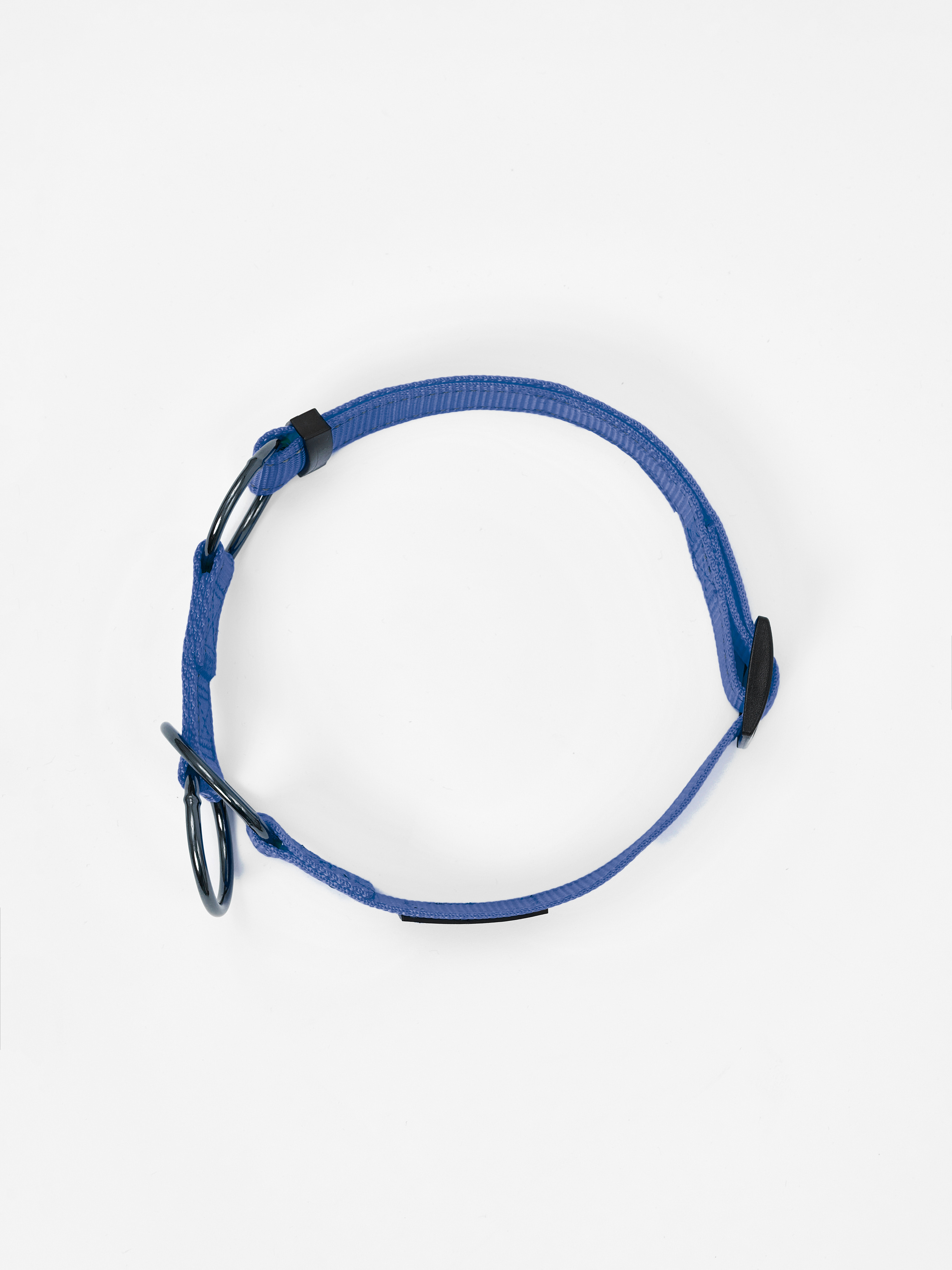 Ошейник для собак Easy Pets 5013 Half-choke collar синий р-р L 45-70см - фото 13