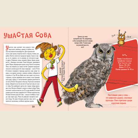 Книга АЙАР Кот Брюс и городские птички