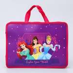 Папка с ручками Disney