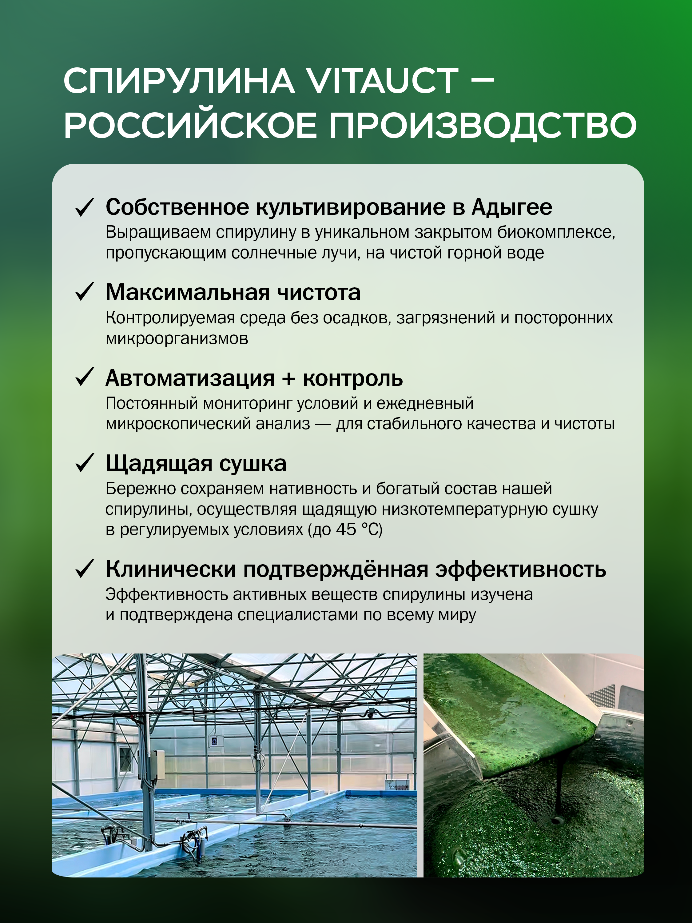 Витамины и минералы VITAUCT Спирулина Perfect 3000 мг, таблетки - фото 2