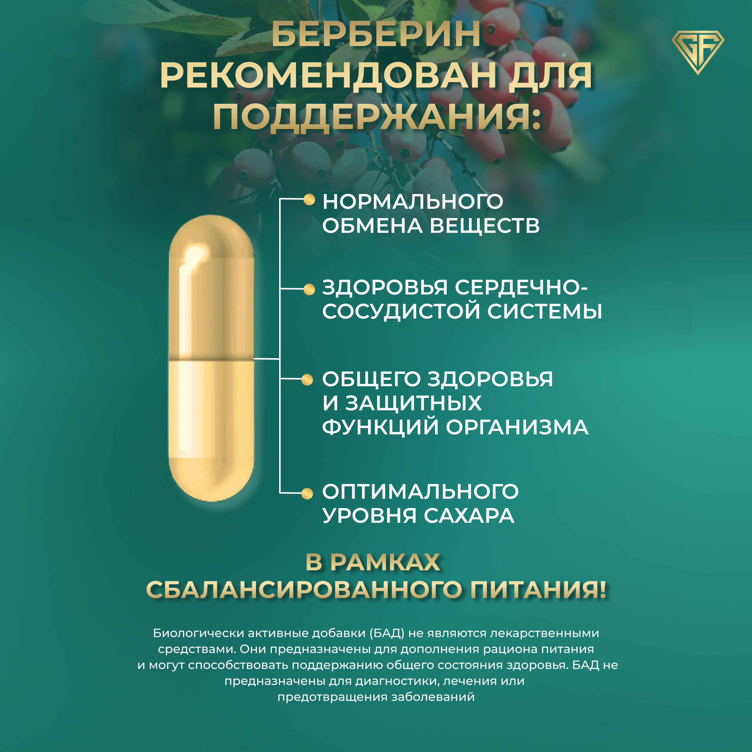 Экстракт барбариса с пикалинатом хрома GRAFLAB 500 мг 60 капсул - фото 3