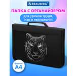 Папка для труда Brauberg А4