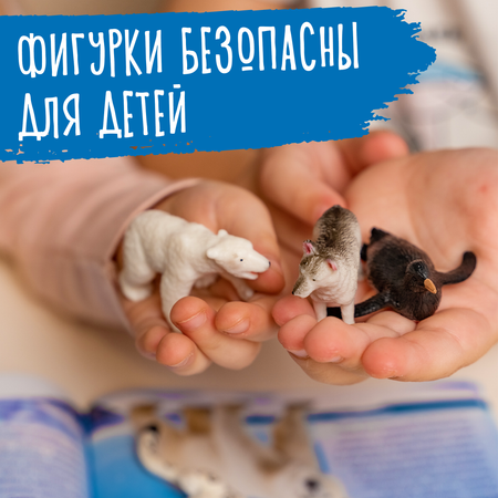 Игровой набор BOONI