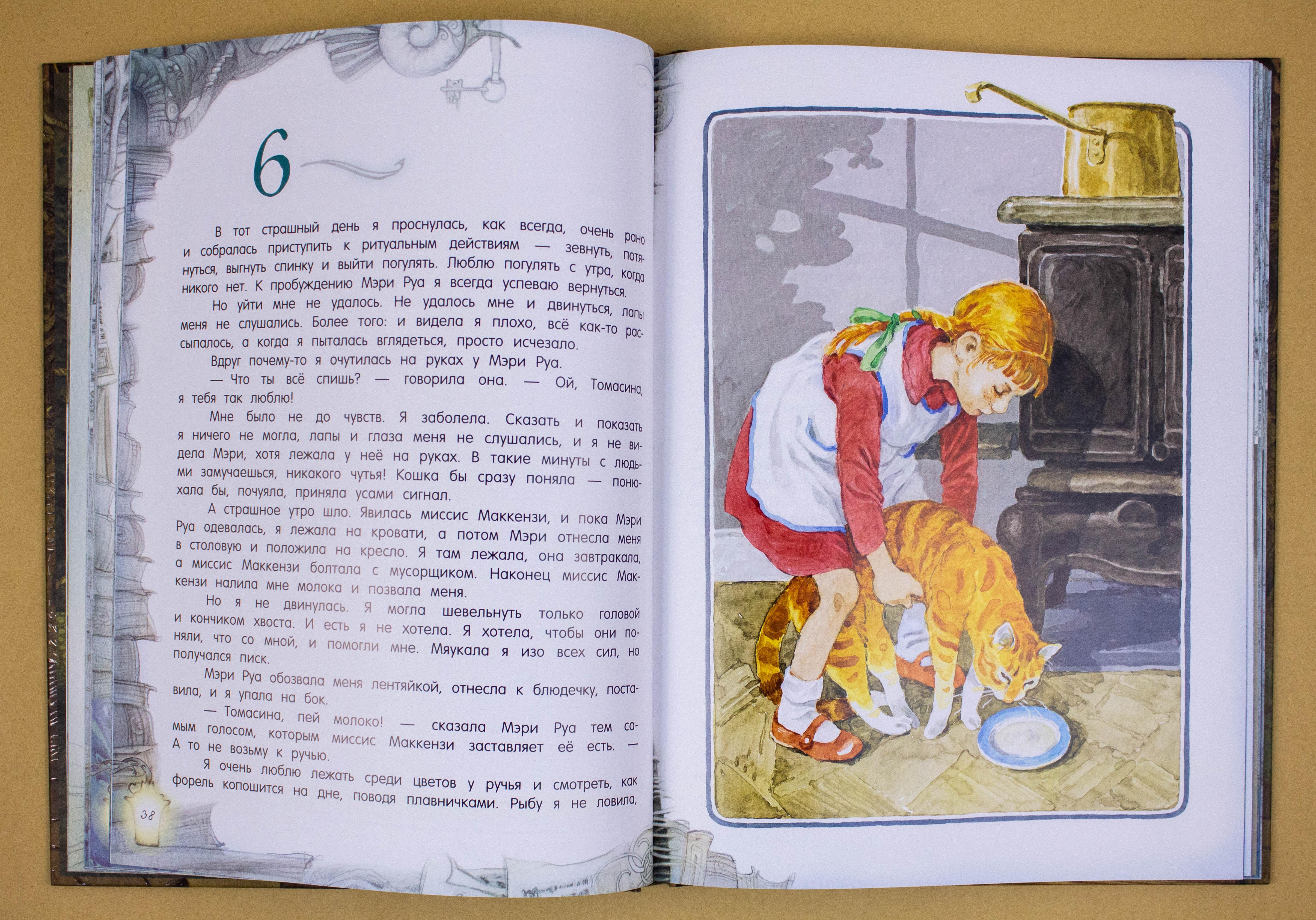 Книга Лабиринт Томасина - фото 4