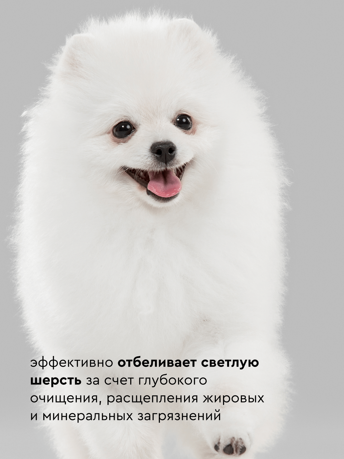 Base SuperClean ProAnimal Универсальный профессиональный очищающий для собак / с белой шерстью - фото 4