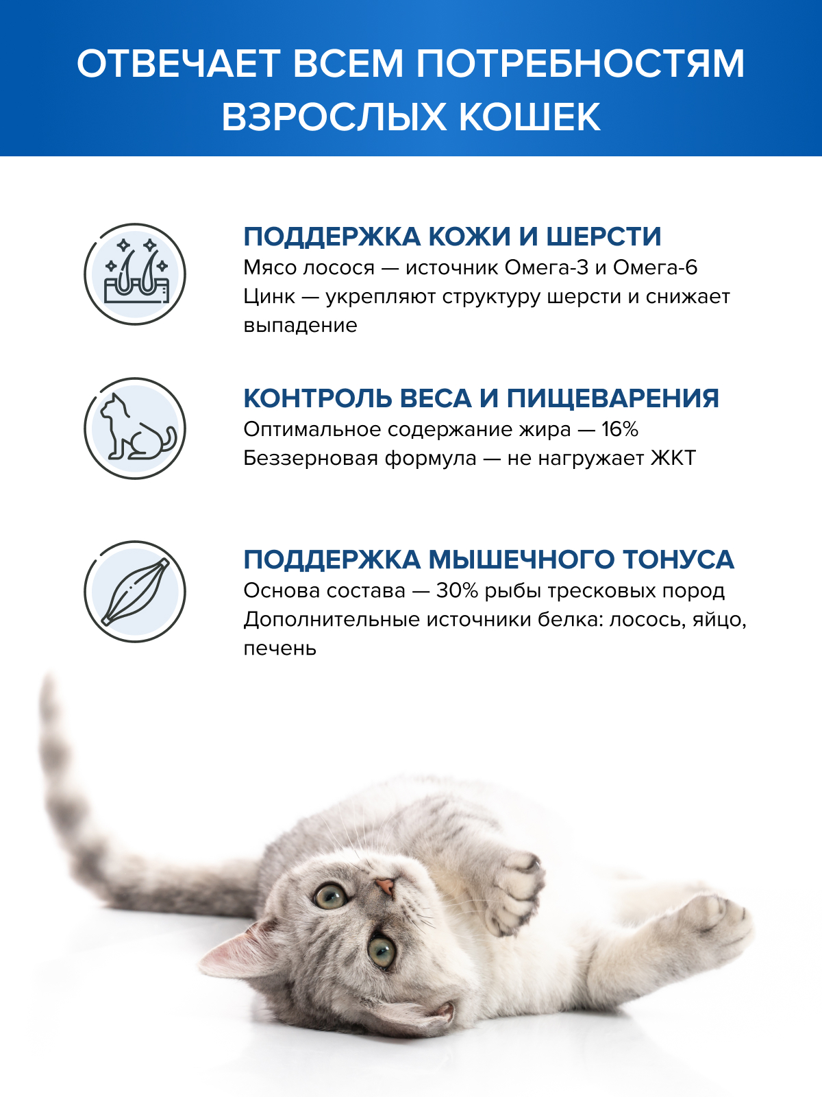 Корм для кошек DOCTRINE сухой с лососем и белой рыбой 10 кг - фото 2