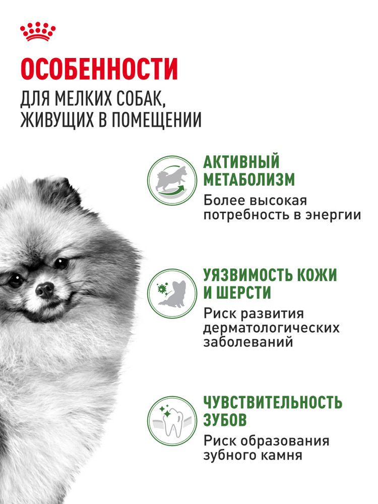 Корм для собак ROYAL CANIN малых пород живущих преимущественно в домашних условиях 500г - фото 2