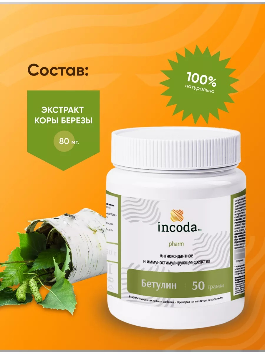 Бетулин 50 Incoda чистка печени и сосудов, от холестерина, 50 гр - фото 4