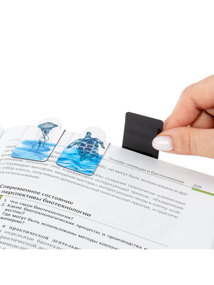 Магнитная закладка Brauberg 6 шт. - фото 8