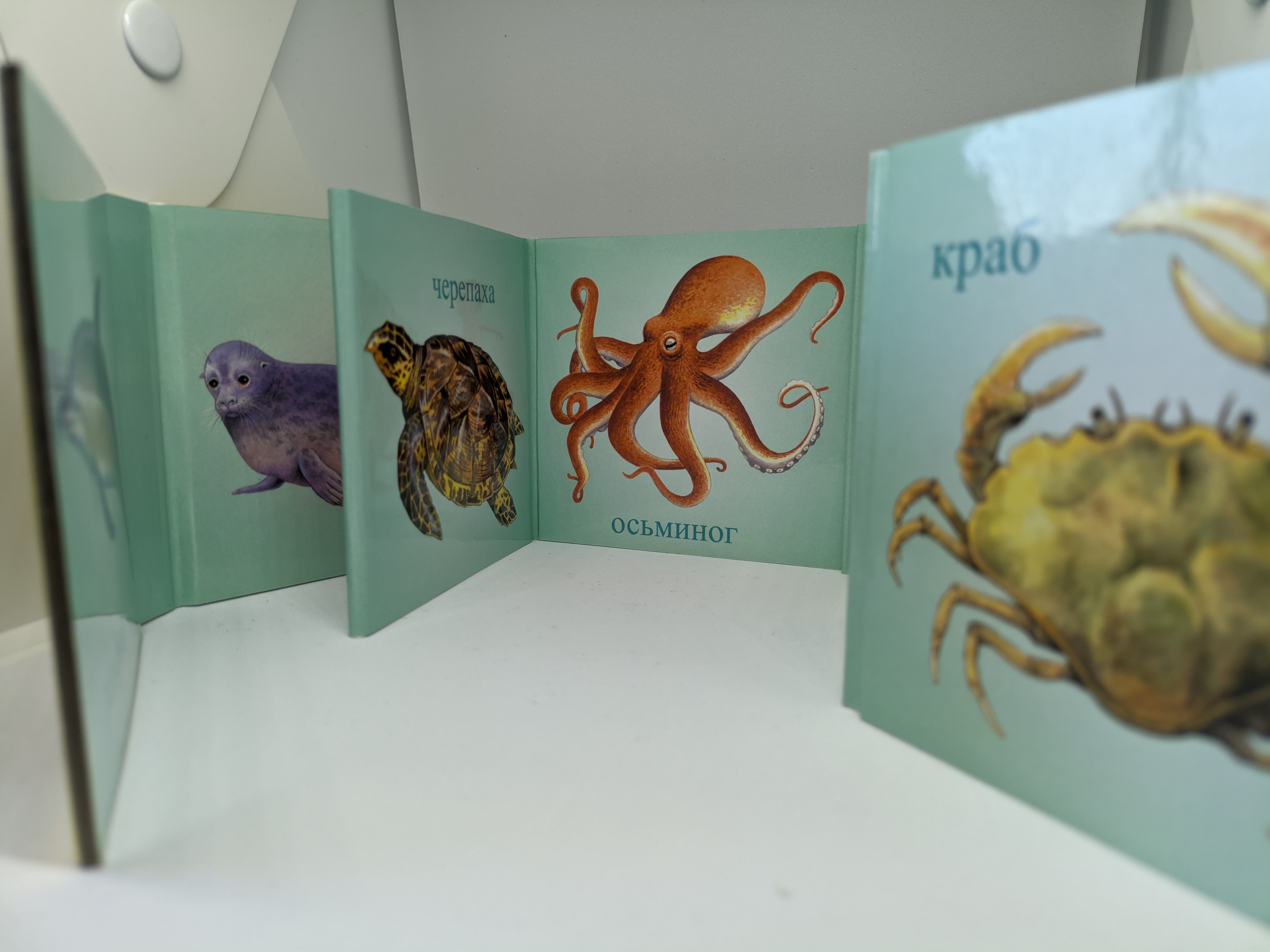 Набор Мирта-Принт Книжки-раскладушки для детей 1-3 лет. Комплект. В воде. Птицы. Животные. - фото 2