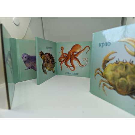 Набор Мирта-Принт Книжки-раскладушки для детей 1-3 лет. Комплект. В воде. Птицы. Животные.