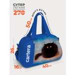 Спортивная сумка Cartera Детская плечевая