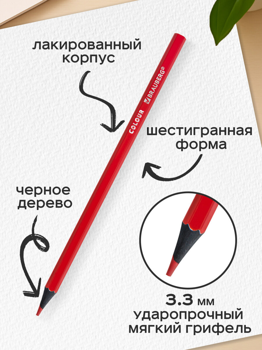 Карандаши цветные Brauberg 12 шт. - фото 3