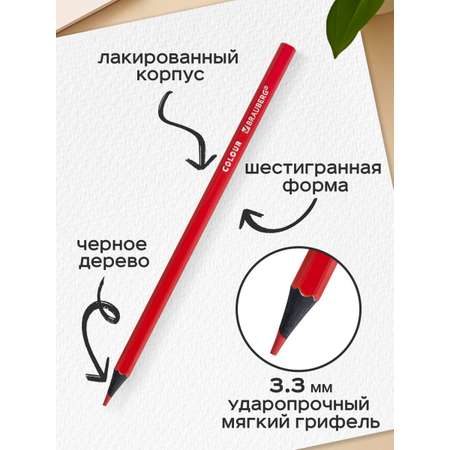 Карандаши цветные Brauberg 12 шт.
