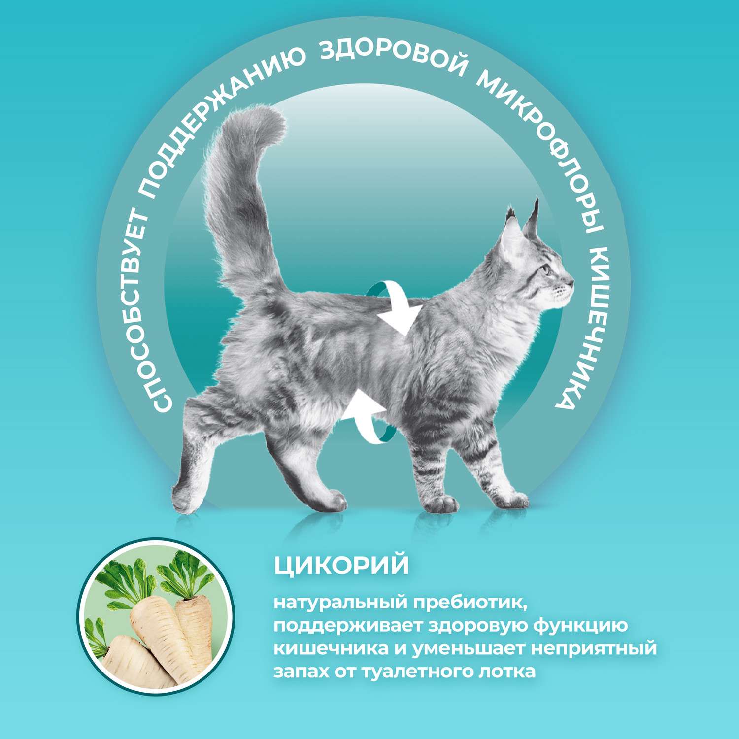 Корм для кошек Purina One стерилизованных с говядиной и морковью влажный 75г - фото 2