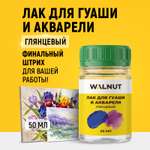Лак глянцевый стекловидный WALNUT для художника гуаши и акварели 50 мл