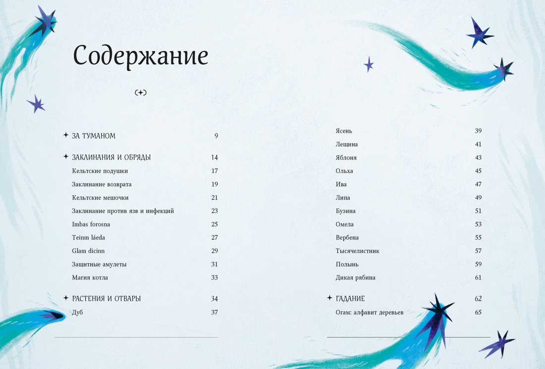 Книга КОЛИБРИ Манци Д Мифы и легенды кельтов - фото 4