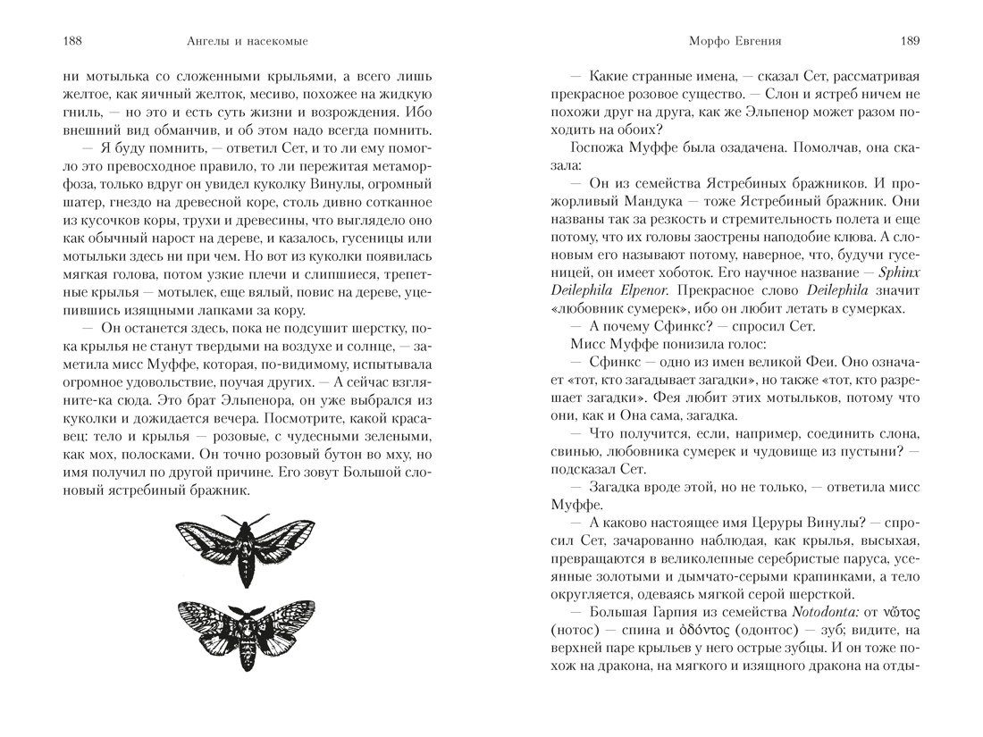 Книга АЗБУКА Ангелы и насекомые - фото 14