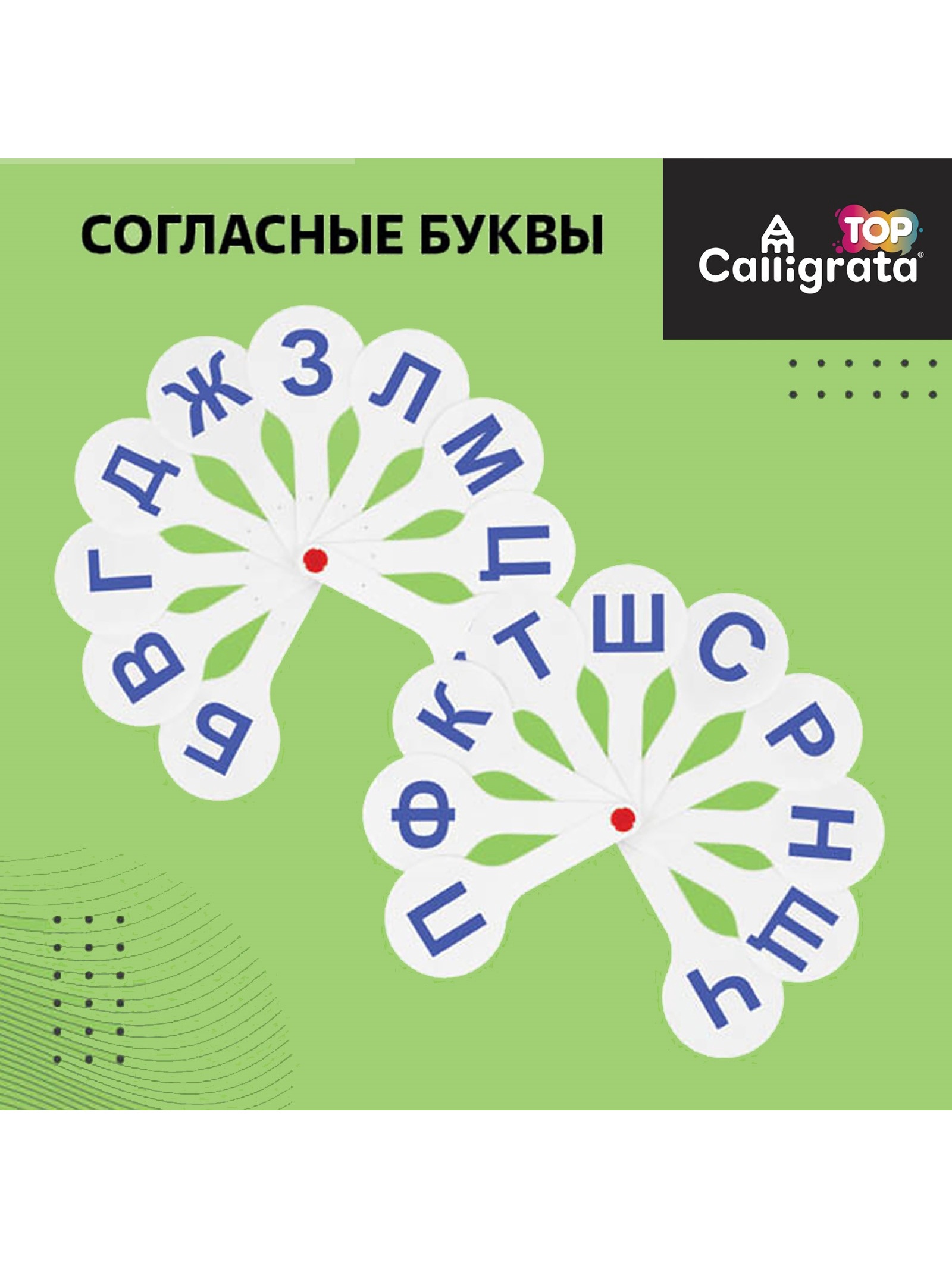 Касса-веер Calligrata - фото 5