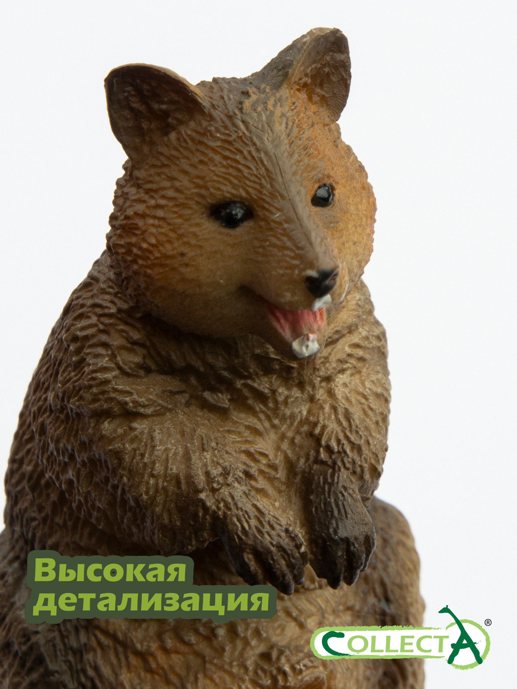 Фигурка Collecta Квокка с детёнышем 6 см - фото 3
