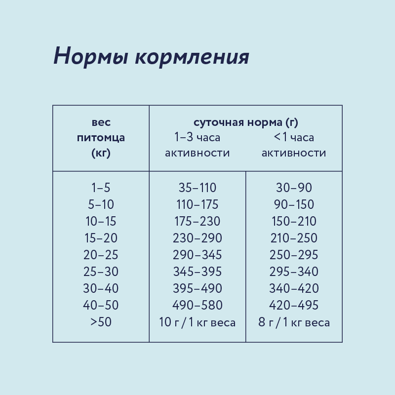 Корм для собак Florida 3кг средних пород ягненок-груша - фото 4