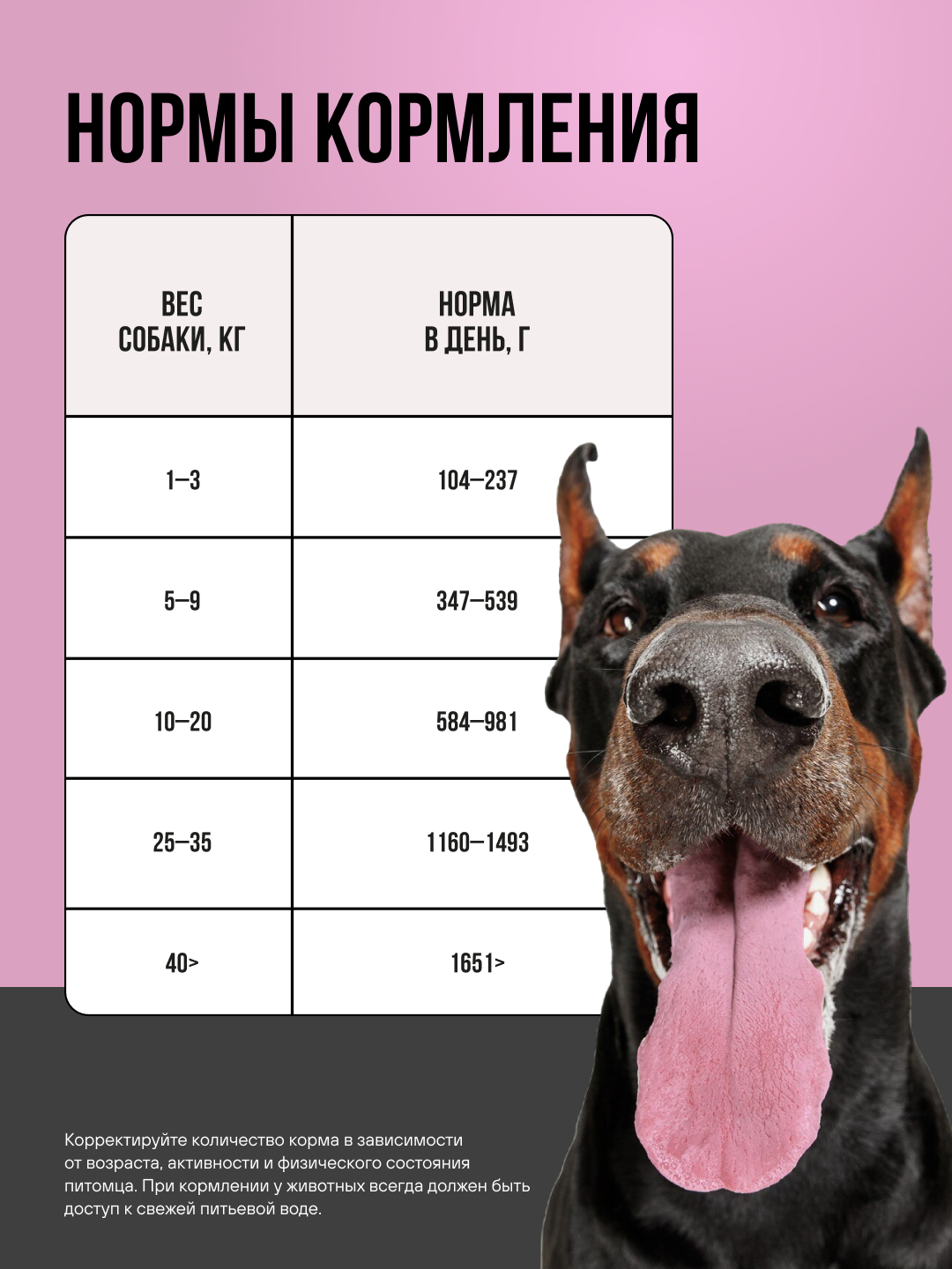 Полнорационный влажный корм BOWL WOW для взрослых собак всех пород с индейкой и тыквой 100г - фото 6