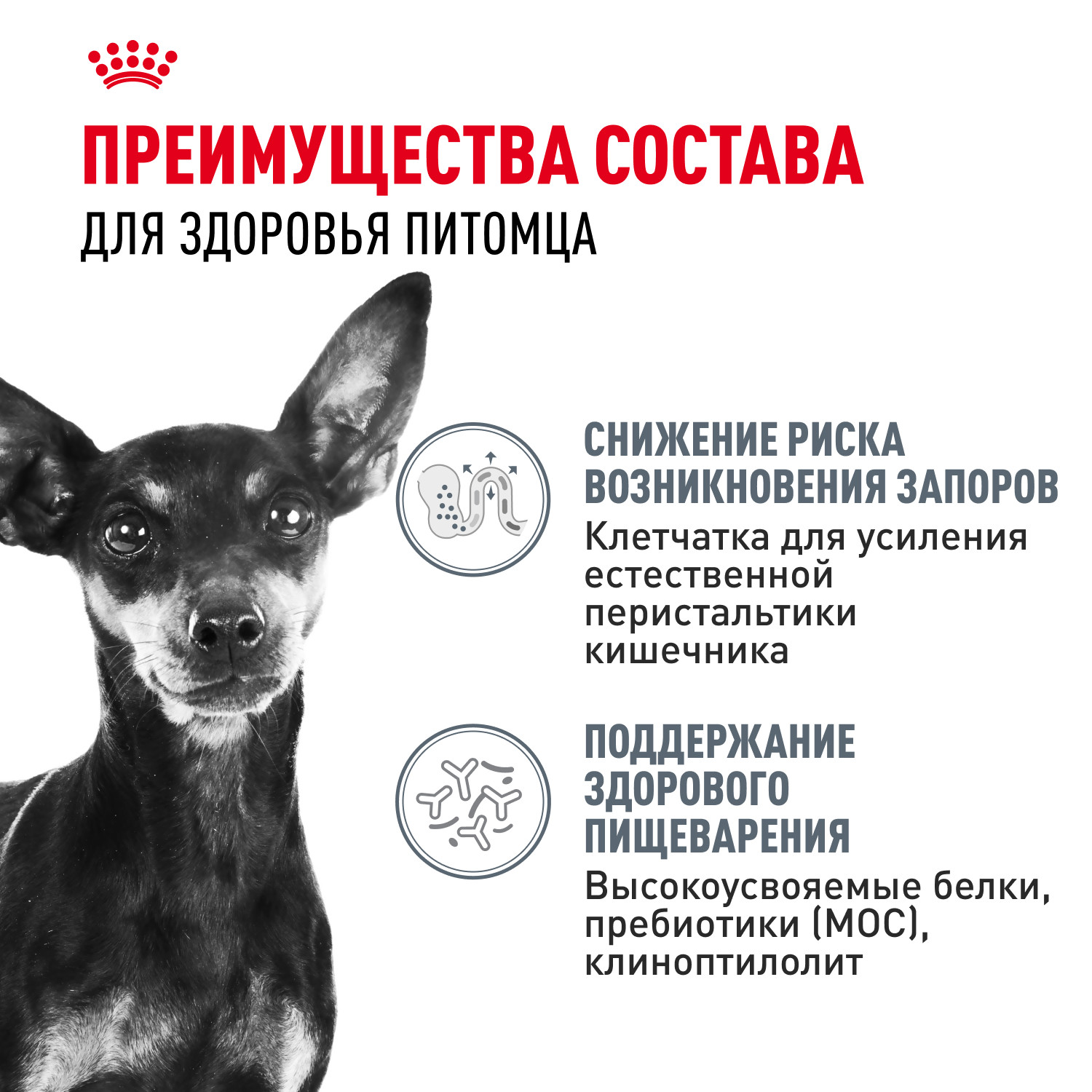 Корм для собак ROYAL CANIN Mini Digestive Care мелких пород с чувствительным пищеварением 1кг - фото 3