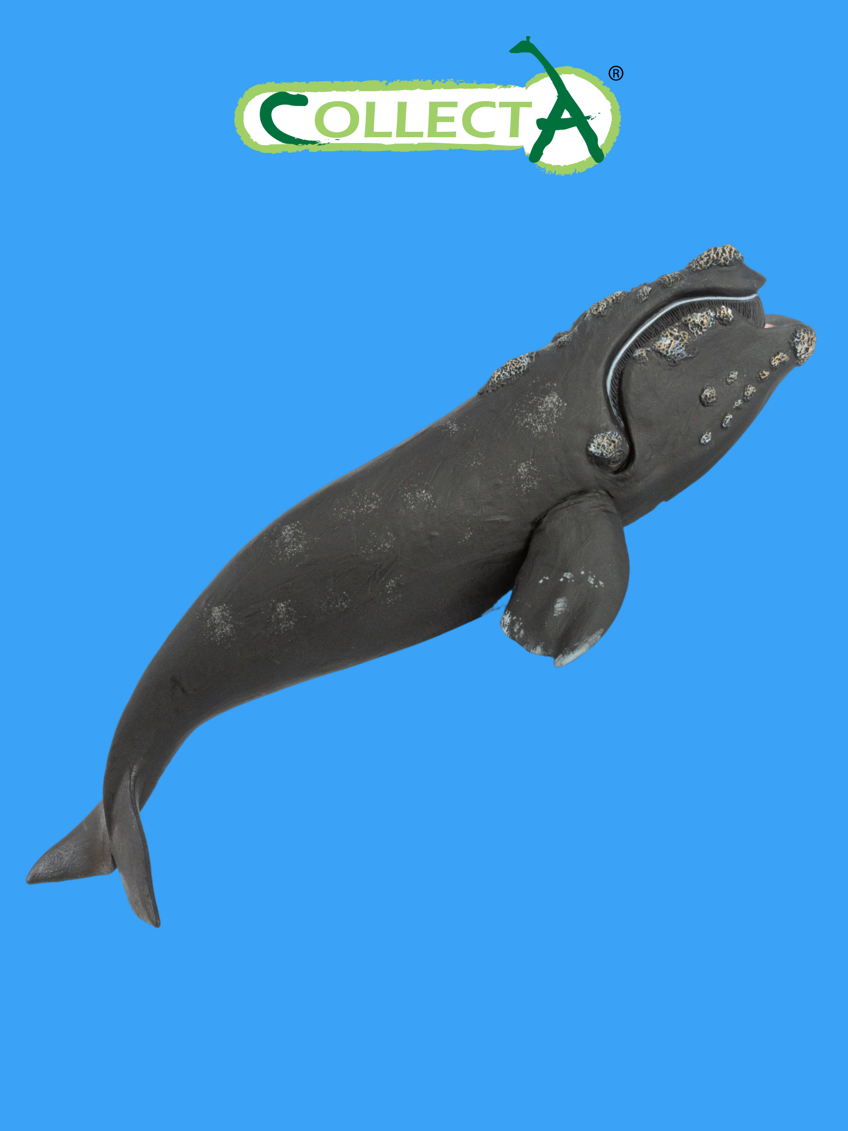 Фигурка Collecta Южный кит - фото 1