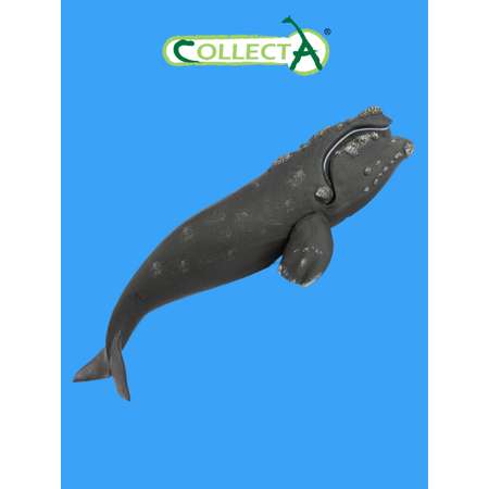 Фигурка Collecta Южный кит