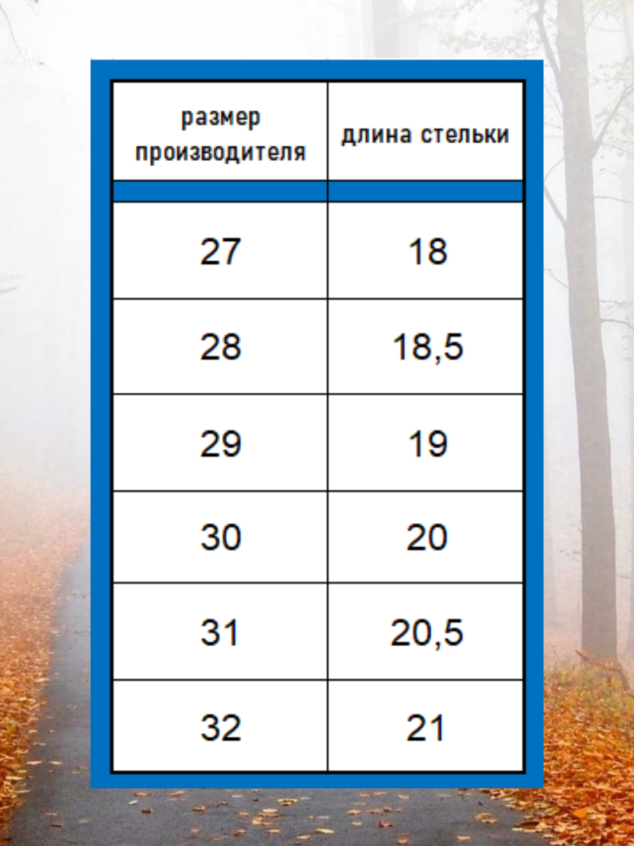 Ботинки Зебра 18674-5 - фото 2