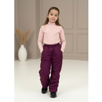 Брюки Arctic kids