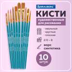 Кисть Brauberg 10 шт. (синтетика)