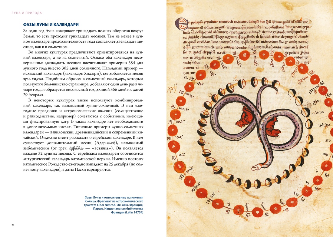 Книга КОЛИБРИ Вселенной Волшебная шкатулка Сборный комплект в коробе из 2 х книг - фото 20