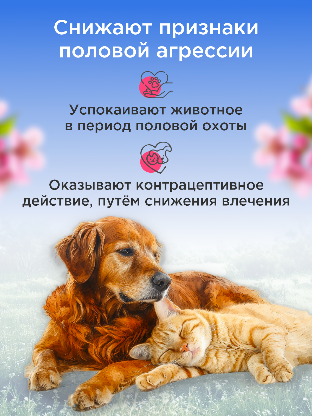 Капли АНТИСЕКС для котов и кобелей GOODR Dog&Cat успокаивающие 50мл - фото 2