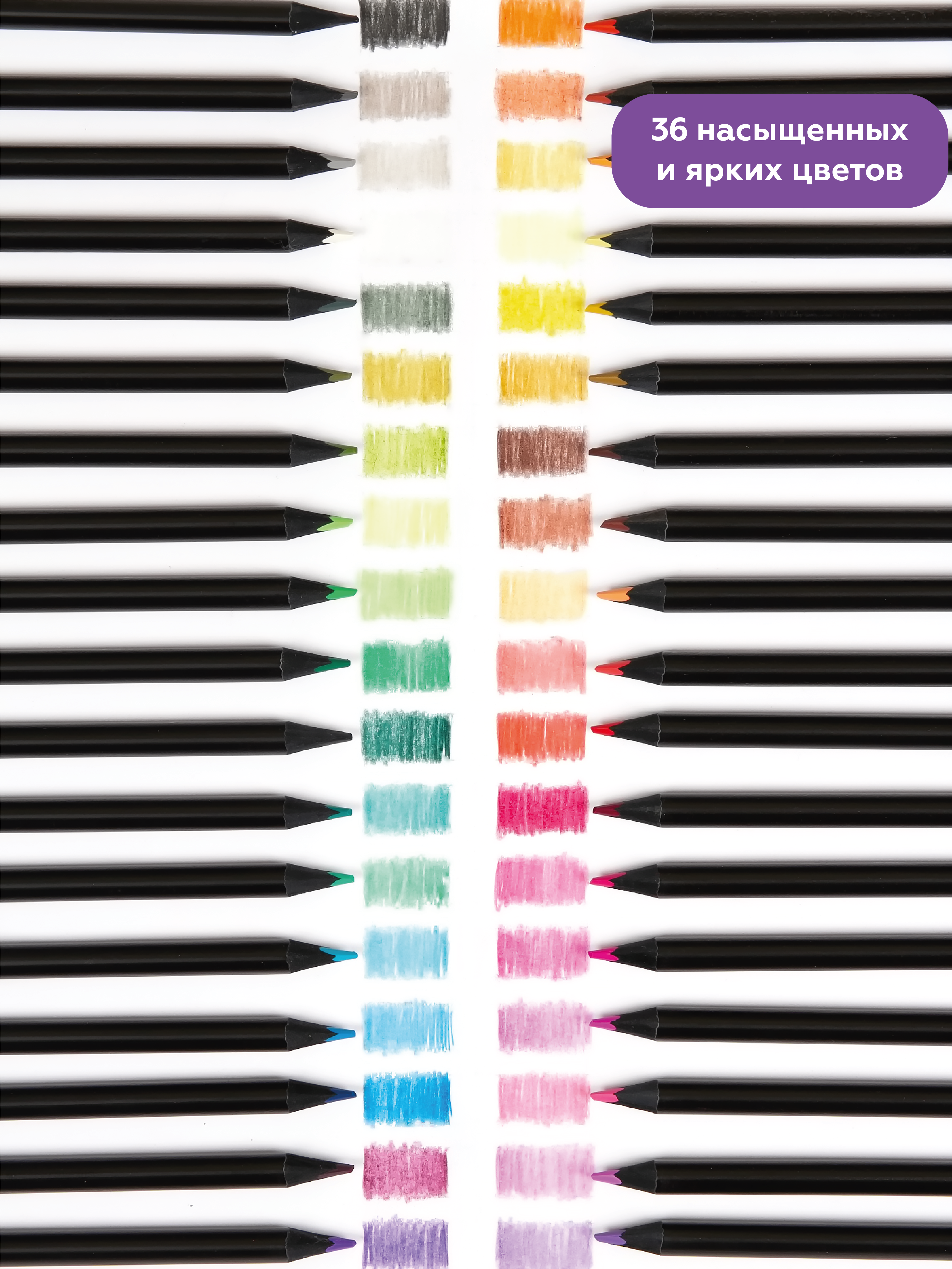 Карандаши цветные AXLER 36 шт. - фото 4