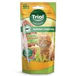 Лакомство для кошек Triol нежные сердечки из говядины с треской 40г