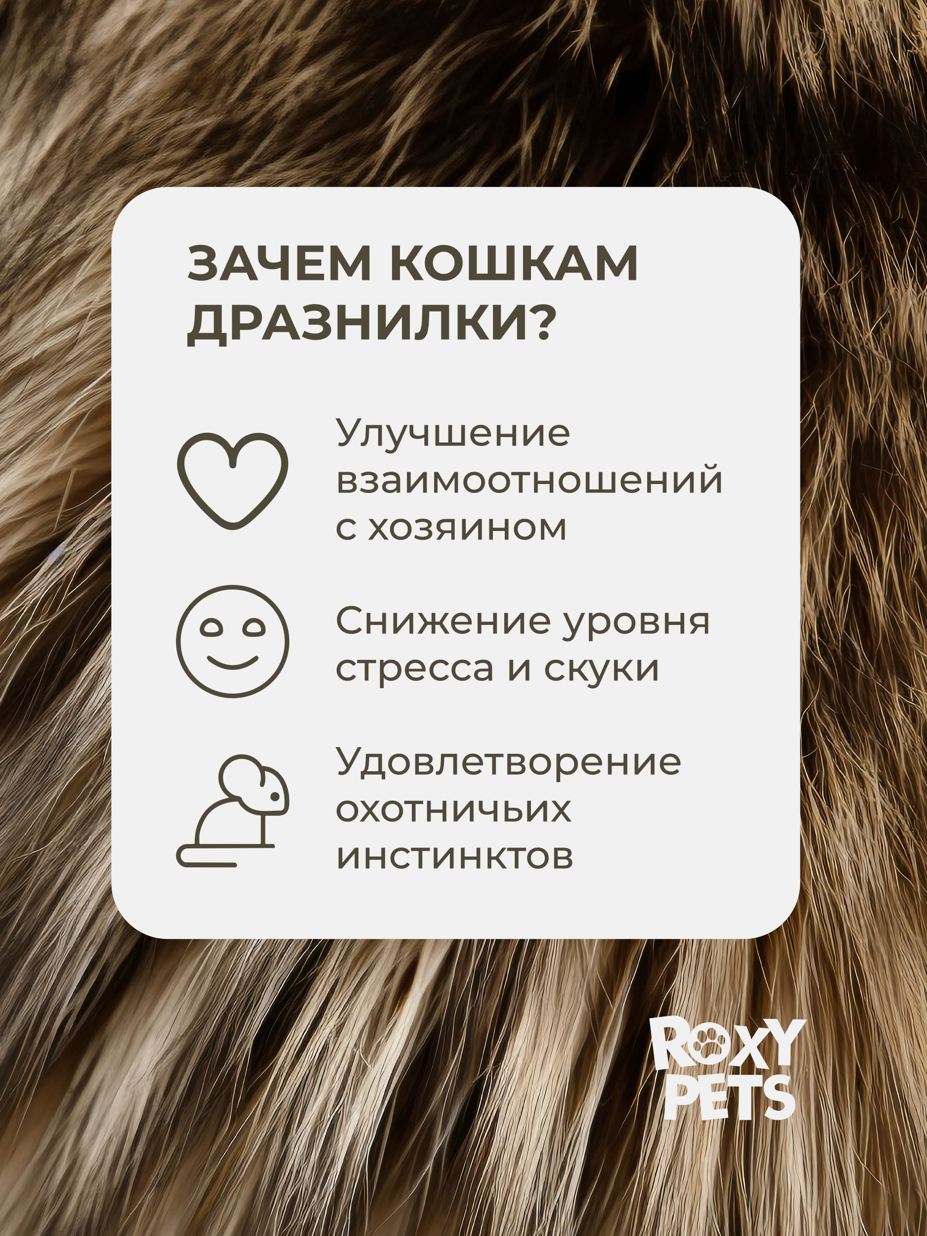 Игрушка ROXY PETS Дразнилка для кошек - фото 3