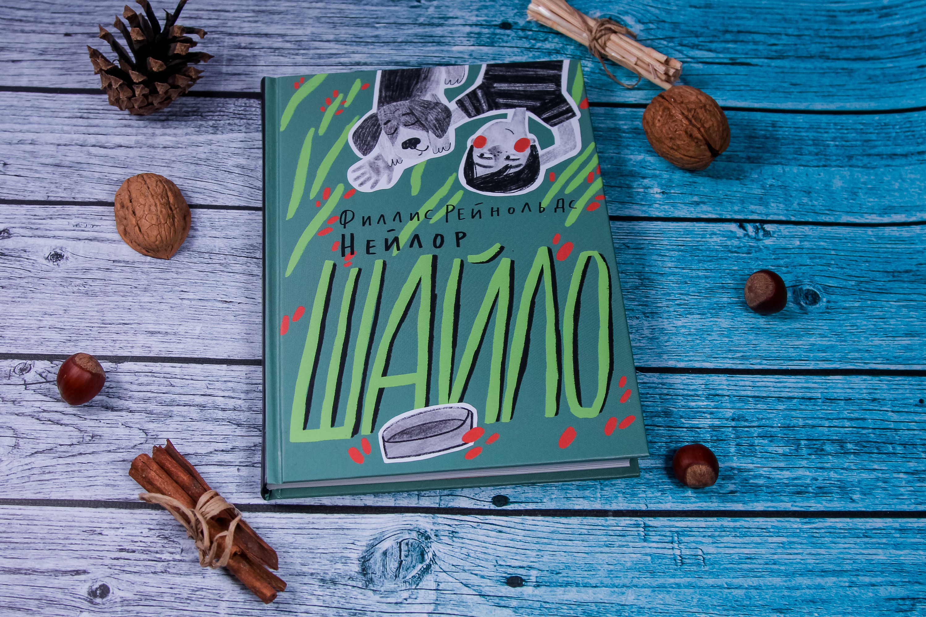 Книга Волчок Шайло - фото 5