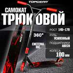 Трюковой самокат TopGear двухколесный