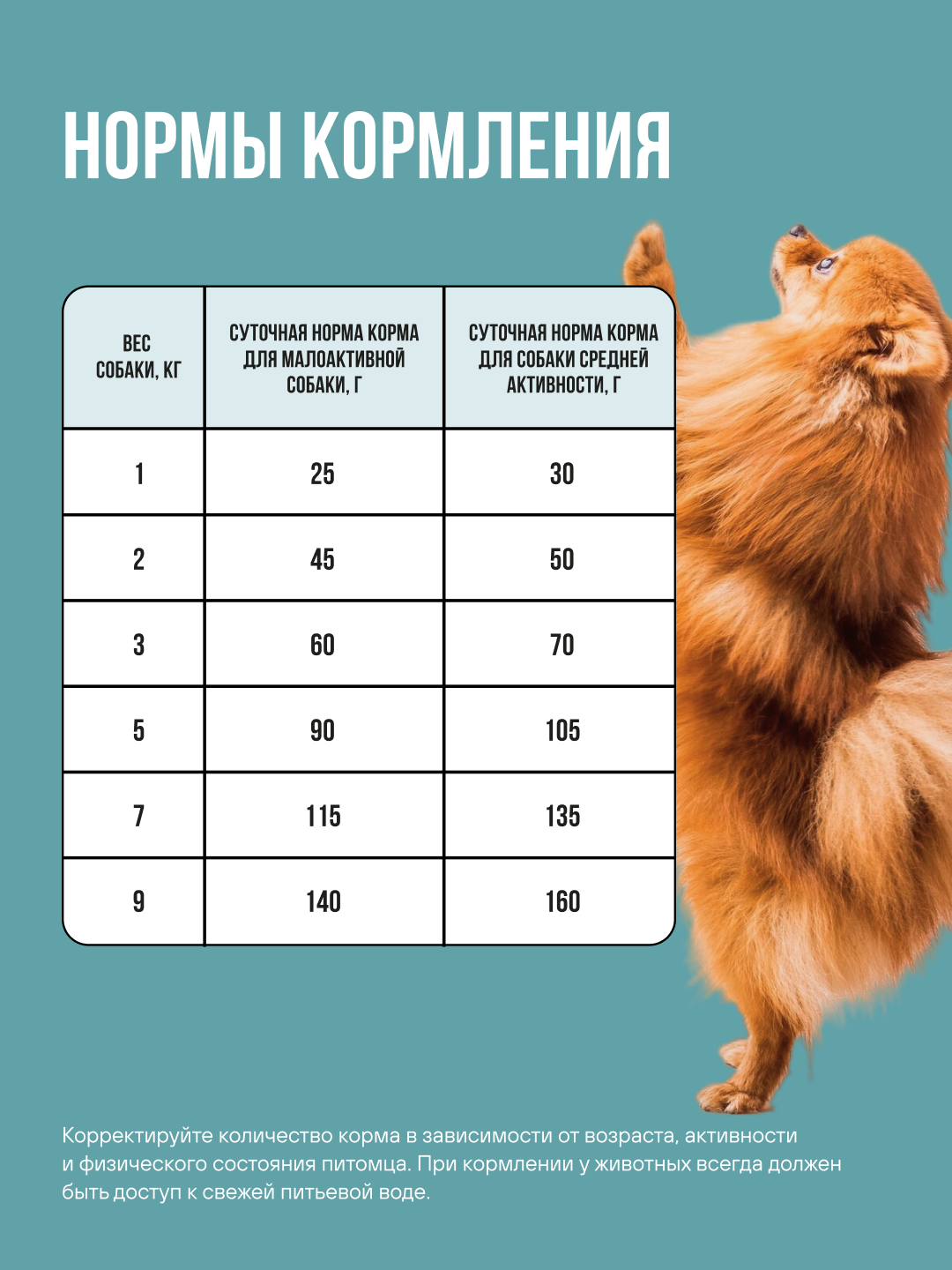 Корм сухой полнорационный BOWL WOW для взрослых собак мелких пород с индейкой, рисом и розмарином 800г - фото 6