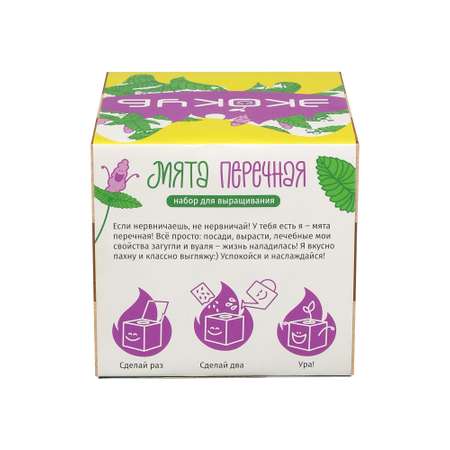 Набор для опытов magicme
