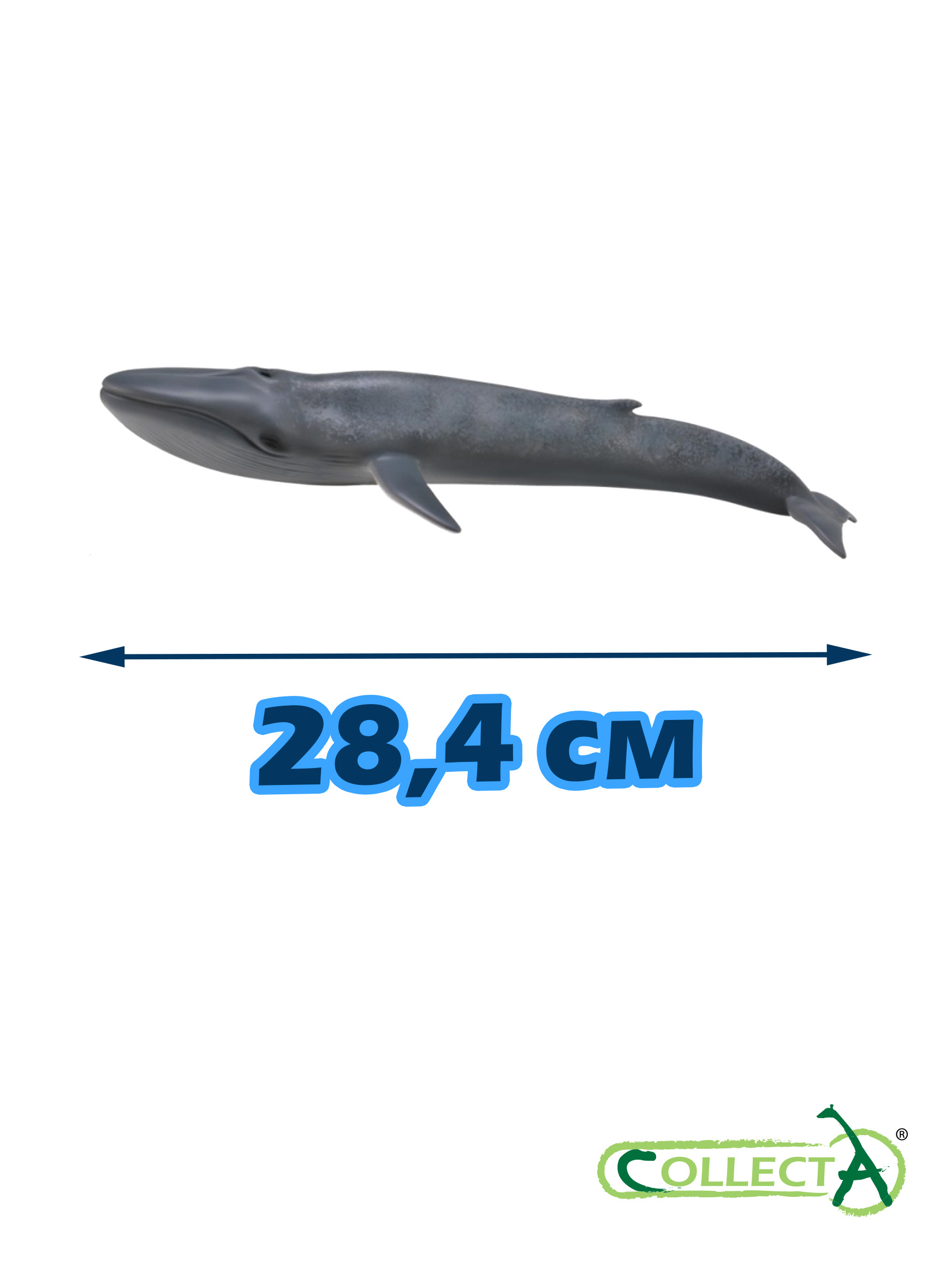 Фигурка Collecta Голубой кит - фото 2