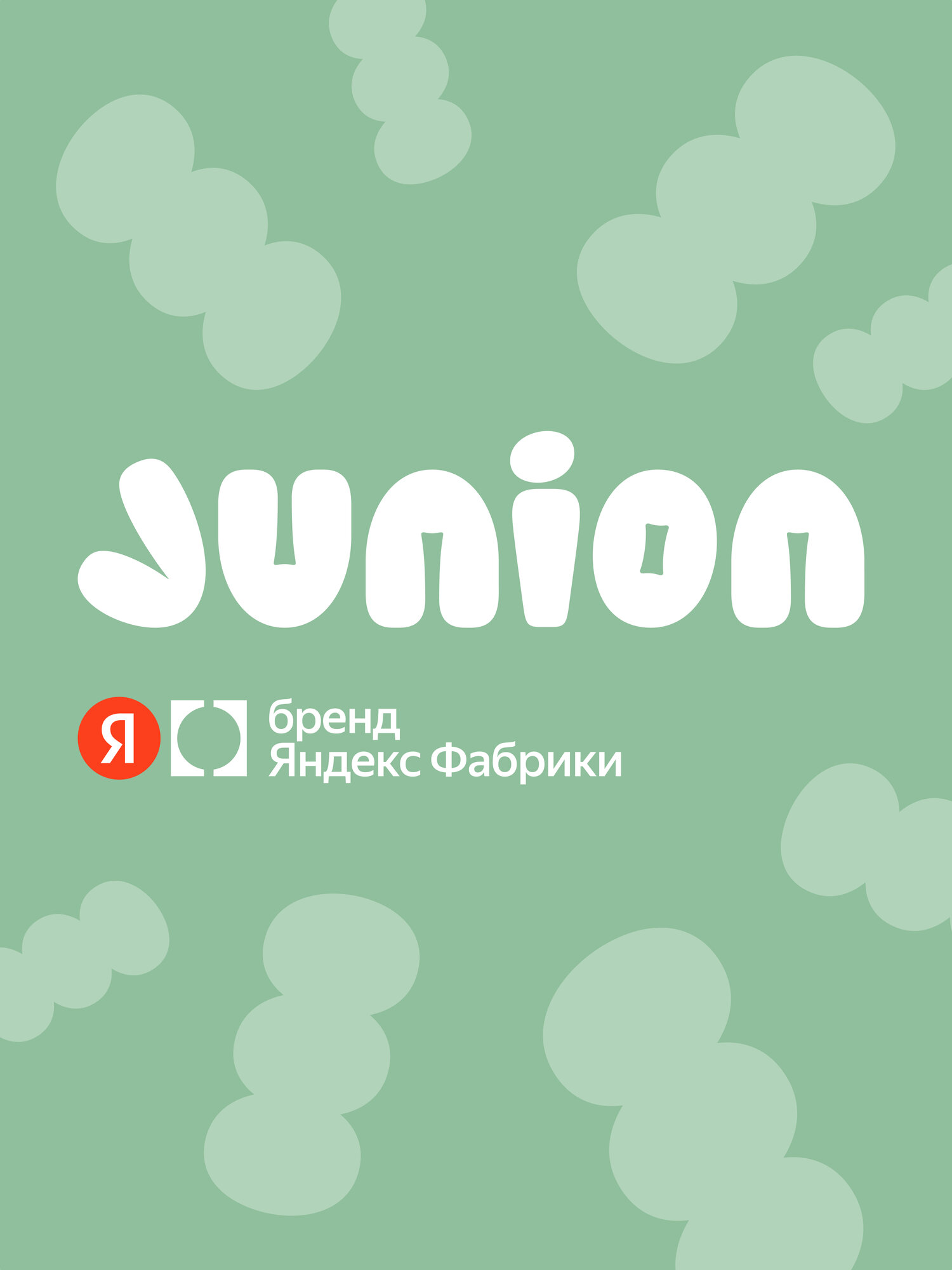 Городской самокат Junion двухколесный - фото 15